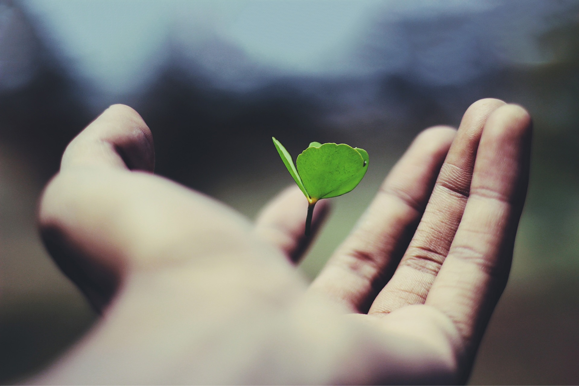 Umweltschutz beim Filme machen